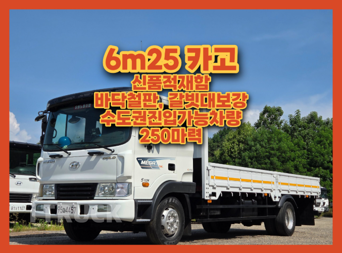 현대 메가트럭 250 단바리 카고 5톤 수동 - 중고 트럭 매물 이미지